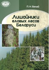 Лишайники еловых лесов Беларуси