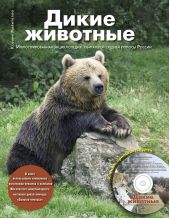 Дикие животные. Иллюстрированная энциклопедия обитателей средней полосы России (+ CD-ROM)