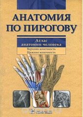 Анатомия по Пирогову. Атлас анатомии человека. В 3 томах. Том 1. Верхняя конечность. Нижняя конечность (+ CD-ROM)