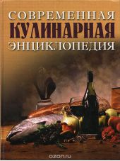 Современная кулинарная энциклопедия