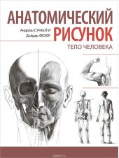 Анатомический рисунок. Тело человека