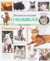 Энциклопедия о кошках. Все о кошках